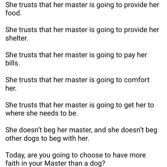 Meet your Posher, Holy - Picture 11 of 16